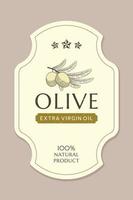 Olive oil label template with olive branch in vintage, hand drawn and line style vector