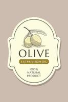 plantilla de etiqueta de aceite de oliva con rama de olivo en estilo vintage, dibujado a mano y de línea