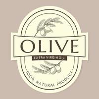 plantilla de etiqueta de aceite de oliva con rama de olivo en estilo vintage, dibujado a mano y de línea vector