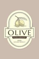 Olive oil label template with olive branch in vintage, hand drawn and line style vector