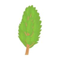 Poplar tree icon in cartoon style vector