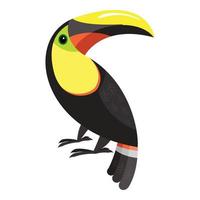 Toucan parrot icon, cartoon style vector