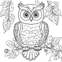 Owl outline vector illustration. Coloring book for children. Cartoon bird black and white drawing.