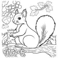 Squirrel outline vector illustration. Coloring book for children.