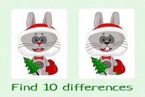 rabbit with a bag find the difference vector