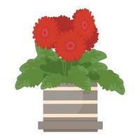 Plant Gerbera jamesonii vector