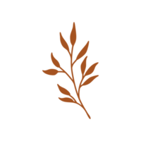 hand painted leaves for decoration in minimalist style png