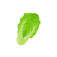 lechuga. vegetales de hojas verdes para una ensalada saludable. png