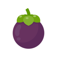 fruta tropical dulce de mangostán morado png