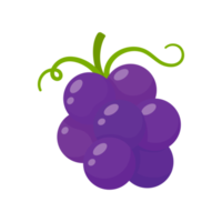 Purple grapes. Healthy sweet fruit for vegetarians. png