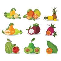 Set of fresh fruits icons illustration vector
