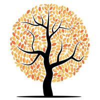 Vector tree with yellow leaves isolated on a white background