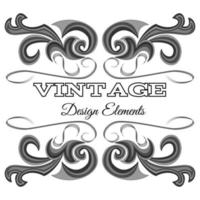 Calligraphic design elements and page decoration. Vintage floral elements for design. vector