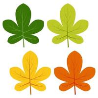 Set of green, yellow and red leaves isolated on white background. Vector illustration of autumn leaves.
