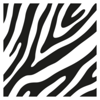 Black stripes on the skin of a zebra for decoration graphics png