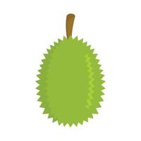 Whole durian icon, flat style vector