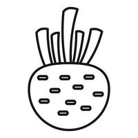 Celery root icon, outline style vector