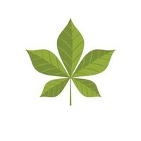 Chestnut leaf icon, flat style vector