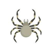 Tarantum spider icon, flat style vector