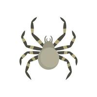 icono de araña tarantum, tipo plano vector