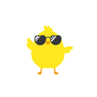 Newborn chick with glasses coming out of eggs isolated on background. png