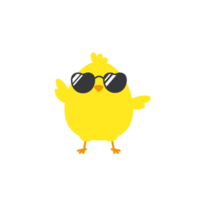 poussin nouveau-né avec des lunettes sortant d'oeufs isolés sur fond. png