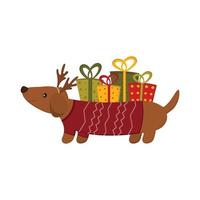 un lindo perro salchicha lleva regalos para navidad y año nuevo. concepto de tarjeta de felicitación de navidad. ilustración plana vectorial. vector