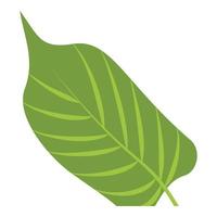 Paradise leaf icon, cartoon style vector