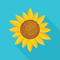 Sunny plant icon, flat style vector