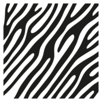 Black stripes on the skin of a zebra for decoration graphics png