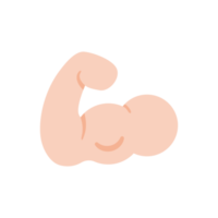 icono de músculo. desarrollar músculos fuertes en los brazos para hombres sanos al comer proteínas y hacer ejercicio. png
