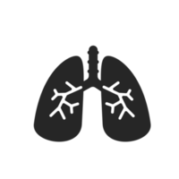 icono de pulmón. Los pulmones ayudan a respirar oxígeno en el cuerpo humano. concepto de cuidado del cuerpo png