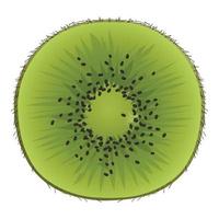 Cutted kiwi icon, cartoon style vector