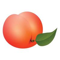 Whole peach icon, cartoon style vector