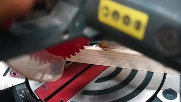 woodworker in protective gloves precisely cuts off wooden workpiece on miter saw. cutoff piece falls nicely. Circular saw blade in motion, pine sawdust flying. DIY project concept