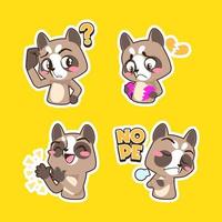 cute raccoon vector set, raccoon illustration