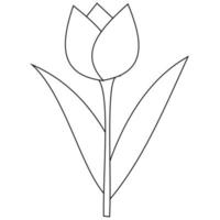 tulip coloring page. It is suitable for use in children's coloring books as well as a medium for introducing the shape of tulips using the coloring method vector