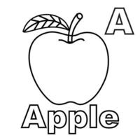 Coloring pages of apples and the letter A. Suitable for use in children's coloring books as well as media for the introduction of the letter A as well as apples with the coloring method vector