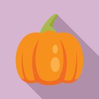 Farm pumpkin icon, flat style vector