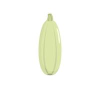 Zucchini icon, flat style. vector