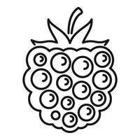 Blackberry product icon, outline style vector