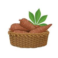 Vector illustration, cassava root or Manihot esculenta in a basket, also known as manioc, isolated on white background, as banner, poster or template for national tapioca day.