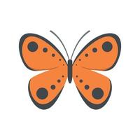 Tropical butterfly icon, flat style. vector