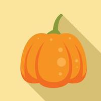 Magic pumpkin icon, flat style vector