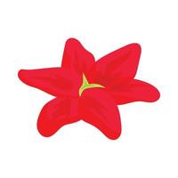 Red lily icon, cartoon style vector