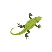 Chameleon icon in flat style vector