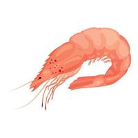 Raw shrimp icon, cartoon style vector