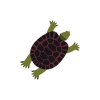 icono de tortuga, estilo plano vector