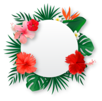 marco de verano vacío blanco con flores tropicales