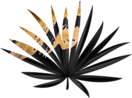 Black Grunge Palm Leaf png